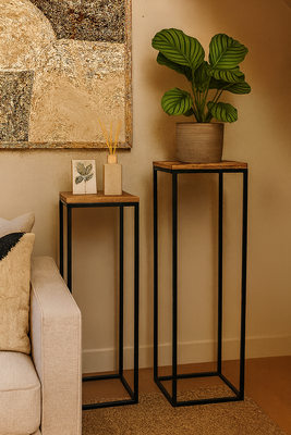 Plantenstandaard set van 2