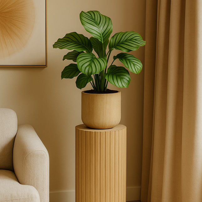 Zuil Kick L 38x78 cm