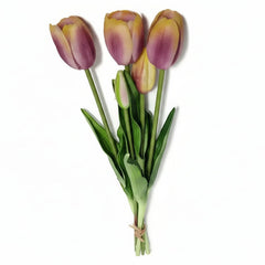 Collection image for: Kunsttulpen
