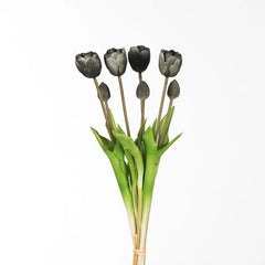 Collection image for: Kunsttulpen